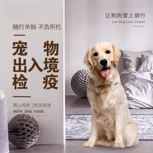 厦门宠物托运到哥伦比亚猫狗宠物入境规定和