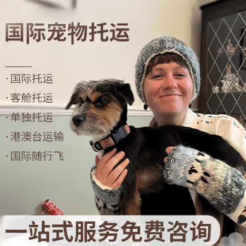 厦门国际宠物托运到阿根廷宠物入境规定和要