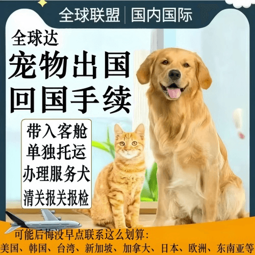 厦门宠物托运到柬埔寨宠物入境规定和要求