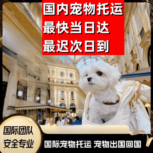 厦门到澳大利亚（澳洲）宠物入境规定和要求